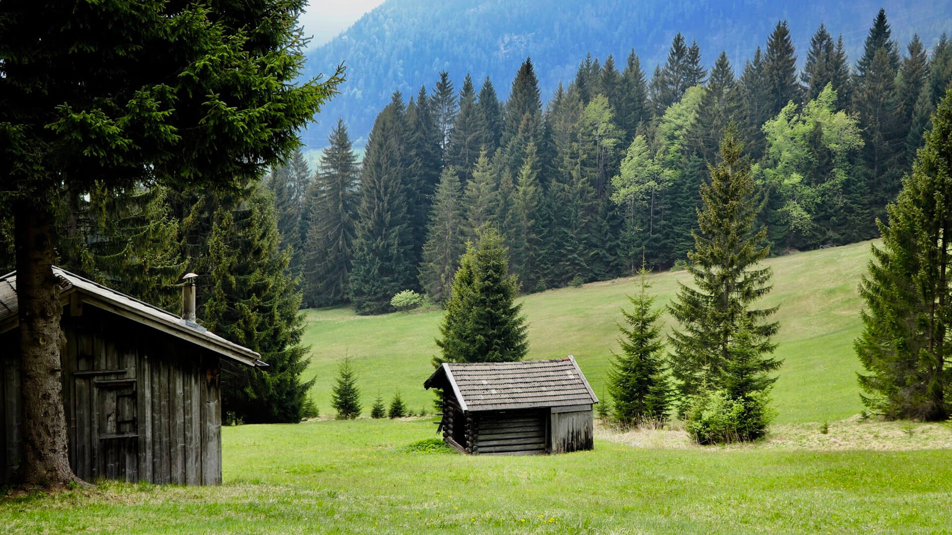 Studio Cabins