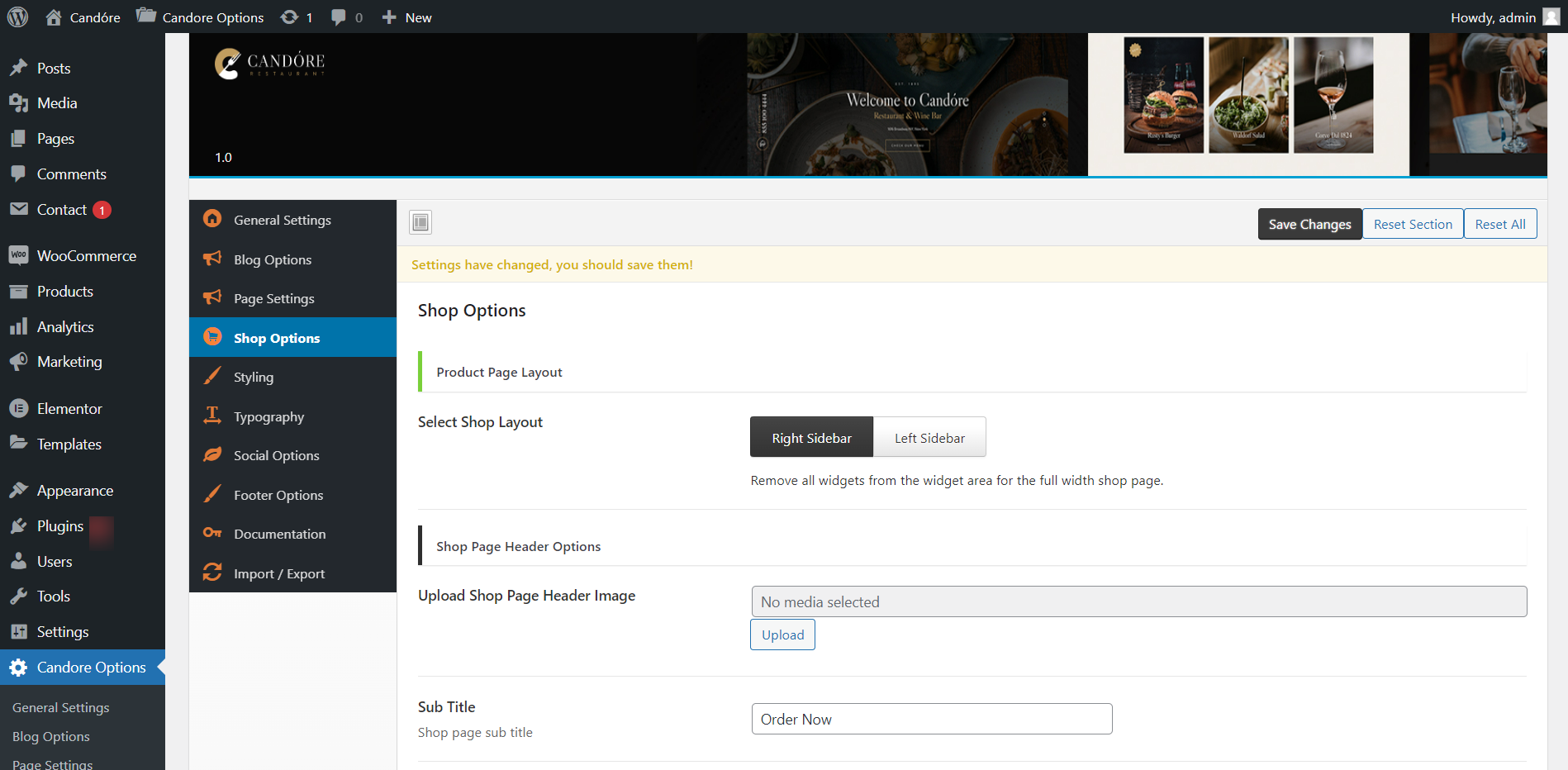 Candore-shopOptions-‹-Candóre-—-WordPress (2)