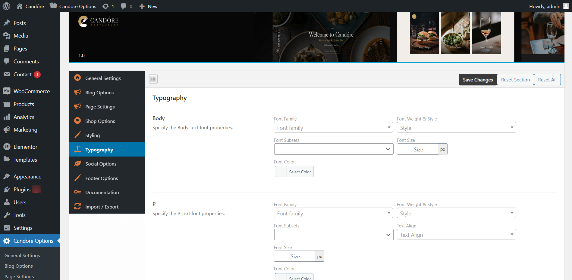 Candore-typoOptions-‹-Candóre-—-WordPress (2)